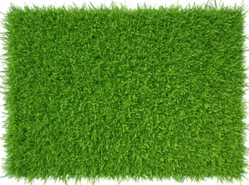 Economy Artificial Grass 10 mm size