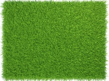 Economy Artificial Grass 25 mm size