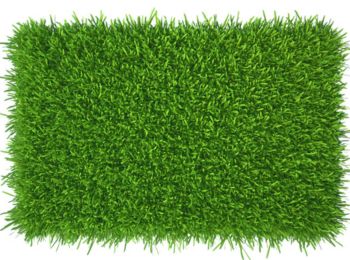 premium Synthetic Grass 10 mm size