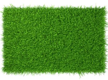 Synthetic Grass 10 mm size