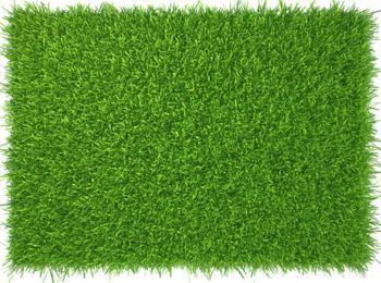 Premium Synthetic Grass 25 mm size