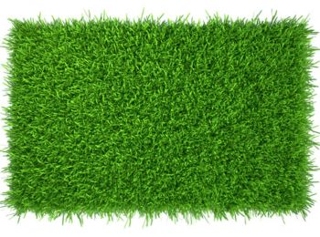 Synthetic Grass 25 mm size