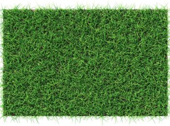Premium Synthetic Grass 50 mm size