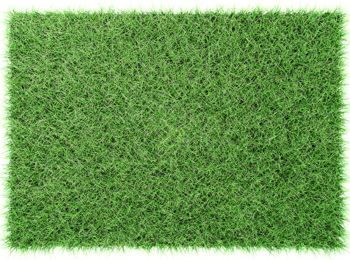 Synthetic Grass 50 mm size