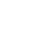 christmas tree icon