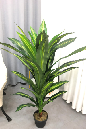 Affordable Artificial Audbhidhi Dracaena