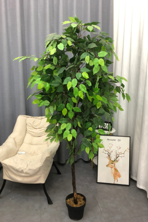 Affordable Artificial Bushy Ficus Plants
