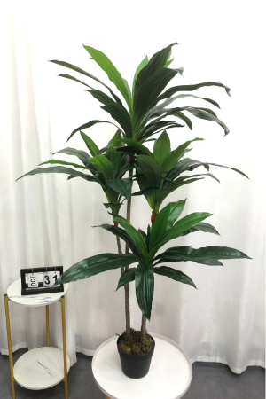 Affordable Artificial Dracaena Tree