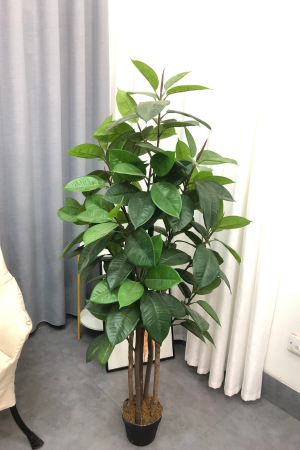 Affordable Artificial Rubber Plants Plants