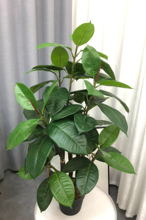 Affordable Artificial Rubber Plants Plants