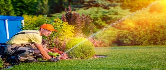 man working in green garden